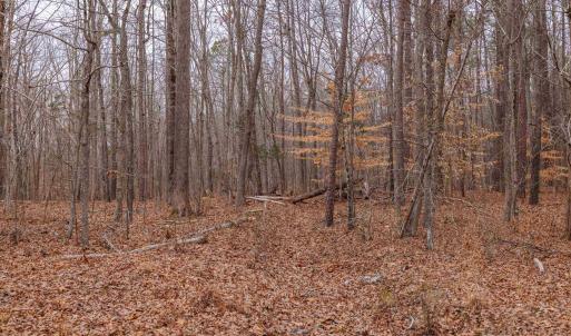 Photo #29 of Lot 3 PINEY GREEN RD, CREWE, VA 9.1 acres
