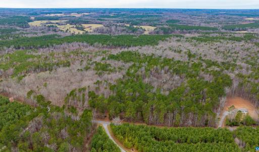 Photo #13 of Lot 3 PINEY GREEN RD, CREWE, VA 9.1 acres