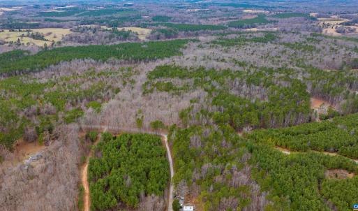 Photo #10 of Lot 3 PINEY GREEN RD, CREWE, VA 9.1 acres