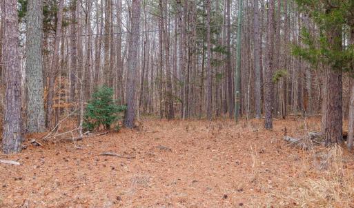 Photo #30 of Lot 3 PINEY GREEN RD, CREWE, VA 9.1 acres