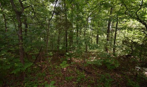 Photo #4 of 14315 WILLIS CT, ORANGE, VA 2.2 acres