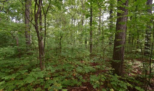 Photo #5 of 14315 WILLIS CT, ORANGE, VA 2.2 acres