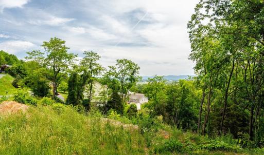 Photo #8 of VALLEY VIEW DR, MOUNT SIDNEY, VA 0.5 acres