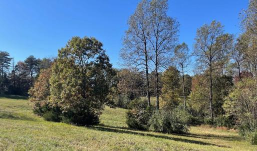 Photo #4 of TBD FRAYS MILL RD, RUCKERSVILLE, VA 8.1 acres