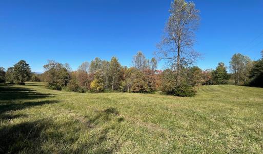 Photo #3 of TBD FRAYS MILL RD, RUCKERSVILLE, VA 8.1 acres