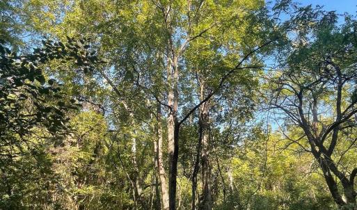 Photo #1 of TBD STONY POINT PASS, KESWICK, VA 56.5 acres