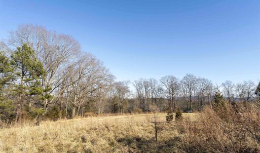 Photo #7 of WATTS PASSAGE, CHARLOTTESVILLE, VA 2.0 acres