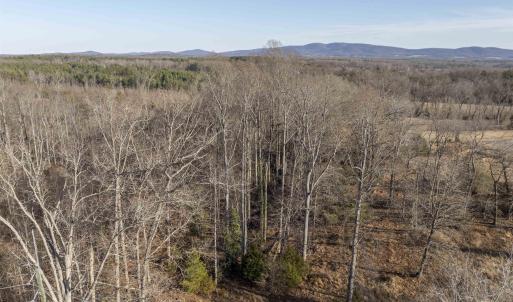 Photo #4 of WATTS PASSAGE, CHARLOTTESVILLE, VA 2.0 acres