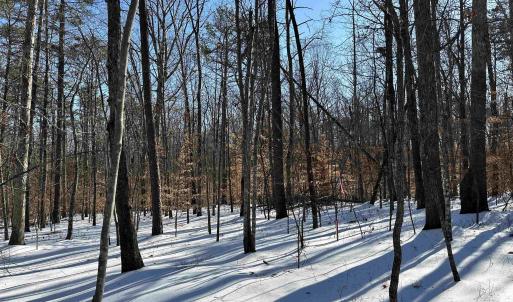 Photo #6 of 02 BEAVERDAM RD, KESWICK, VA 6.9 acres