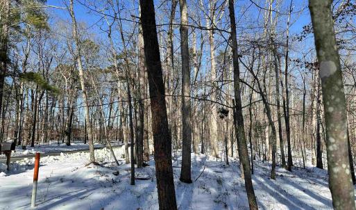 Photo #2 of 02 BEAVERDAM RD, KESWICK, VA 6.9 acres