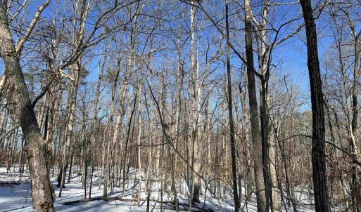 Photo #3 of 02 BEAVERDAM RD, KESWICK, VA 6.9 acres