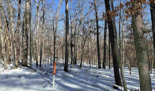 Photo #1 of 02 BEAVERDAM RD, KESWICK, VA 6.9 acres