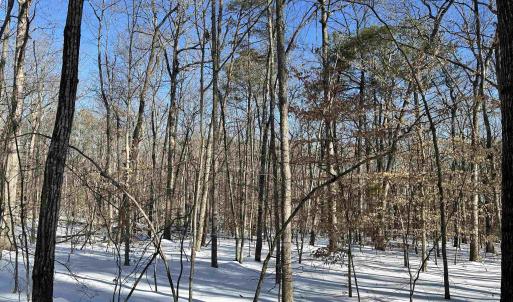 Photo #5 of 02 BEAVERDAM RD, KESWICK, VA 6.9 acres