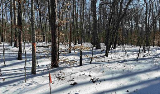 Photo #3 of 001 BEAVER DAM RD, KESWICK, VA 7.0 acres