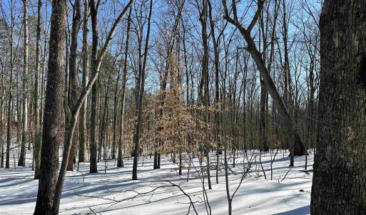 Photo #9 of 001 BEAVER DAM RD, KESWICK, VA 7.0 acres
