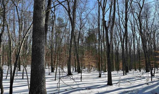 Photo #5 of 001 BEAVER DAM RD, KESWICK, VA 7.0 acres