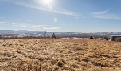 Photo #4 of 15854 FORESTVILLE RD, TIMBERVILLE, VA 12.3 acres