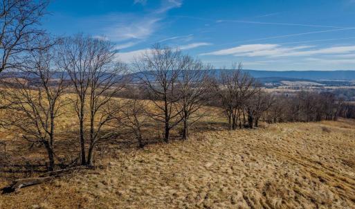 Photo #35 of 15854 FORESTVILLE RD, TIMBERVILLE, VA 12.3 acres