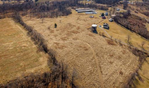 Photo #14 of 15854 FORESTVILLE RD, TIMBERVILLE, VA 12.3 acres