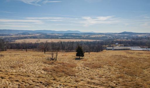 Photo #1 of 15854 FORESTVILLE RD, TIMBERVILLE, VA 12.3 acres