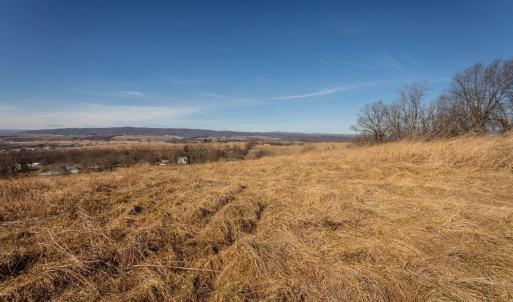 Photo #5 of 15854 FORESTVILLE RD, TIMBERVILLE, VA 12.3 acres