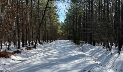 Photo #2 of REDBIRD LN, GLADSTONE, VA 186.4 acres