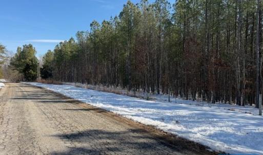 Photo #6 of REDBIRD LN, GLADSTONE, VA 186.4 acres