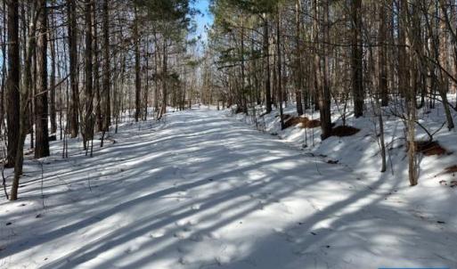 Photo #3 of REDBIRD DR, GLADSTONE, VA 186.4 acres