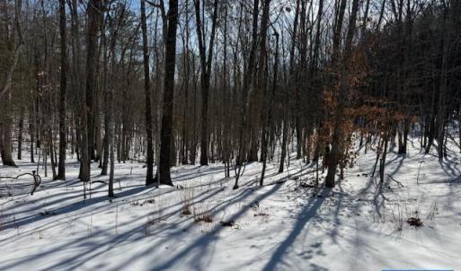 Photo #1 of REDBIRD DR, GLADSTONE, VA 186.4 acres