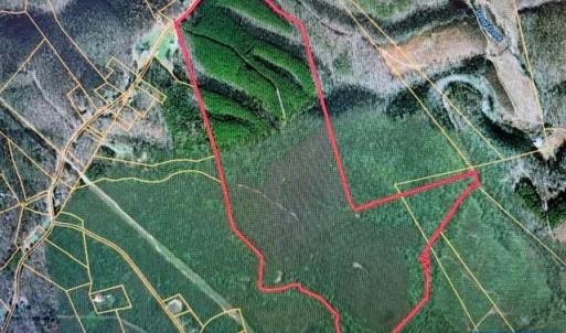 Photo #4 of REDBIRD DR, GLADSTONE, VA 186.4 acres