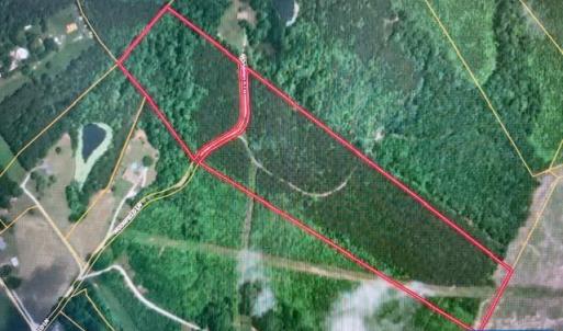 Photo #5 of REDBIRD DR, GLADSTONE, VA 186.4 acres
