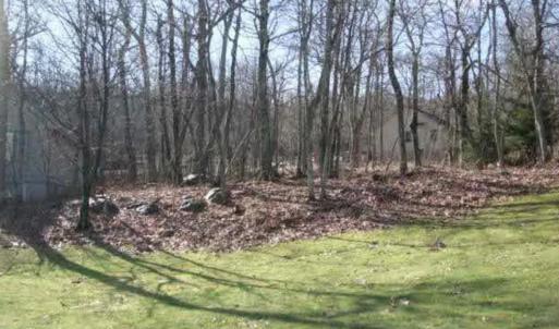 Photo #2 of lot 6 DEVILS BEND CT, NELLYSFORD, VA 0.2 acres