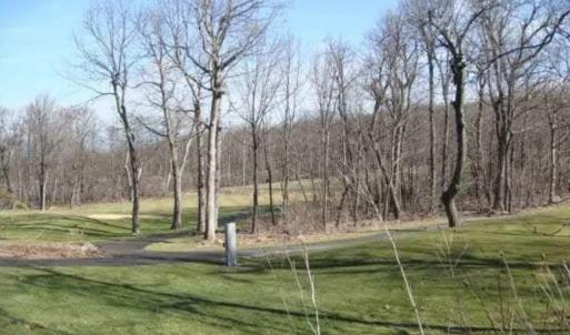 Photo #1 of lot 6 DEVILS BEND CT, NELLYSFORD, VA 0.2 acres