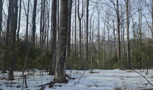 Photo #2 of TBD Lot 56G TURKEY RIDGE RD, STANARDSVILLE, VA 2.0 acres