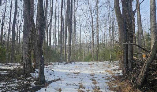 Photo #1 of TBD Lot 56G TURKEY RIDGE RD, STANARDSVILLE, VA 2.0 acres