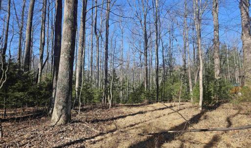 Photo #3 of TBD Lot 56G TURKEY RIDGE RD, STANARDSVILLE, VA 2.0 acres