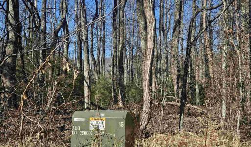 Photo #6 of TBD Lot 56G TURKEY RIDGE RD, STANARDSVILLE, VA 2.0 acres