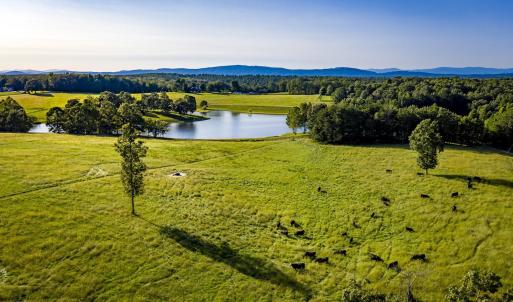 Photo #4 of LOT 5 THOMAS JEFFERSON PKWY, CHARLOTTESVILLE, VA 6.4 acres