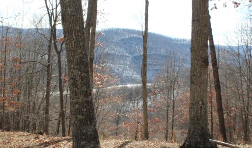 Photo #10 of TBD DOGWOOD DR, MONTEREY, VA 5.4 acres