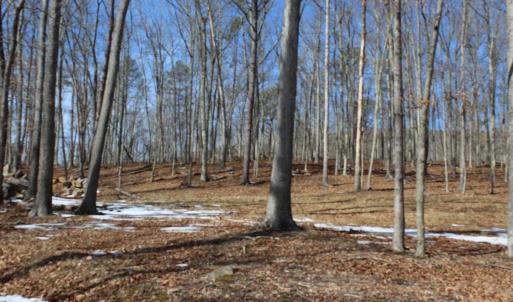 Photo #12 of TBD DOGWOOD DR, MONTEREY, VA 5.4 acres