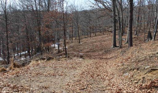 Photo #26 of TBD DOGWOOD DR, MONTEREY, VA 5.4 acres
