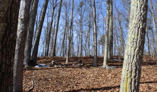Photo #23 of TBD DOGWOOD DR, MONTEREY, VA 5.4 acres