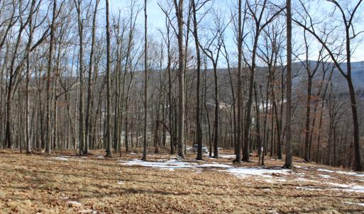 Photo #2 of TBD DOGWOOD DR, MONTEREY, VA 5.4 acres