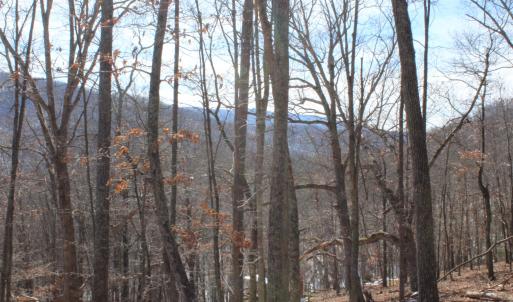 Photo #13 of TBD DOGWOOD DR, MONTEREY, VA 5.4 acres