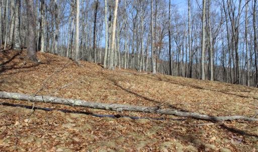 Photo #16 of TBD DOGWOOD DR, MONTEREY, VA 5.4 acres