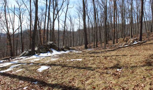 Photo #25 of TBD DOGWOOD DR, MONTEREY, VA 5.4 acres