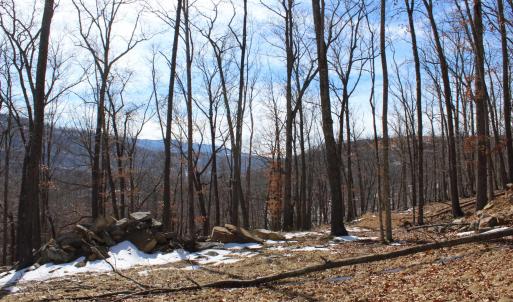 Photo #19 of TBD DOGWOOD DR, MONTEREY, VA 5.4 acres