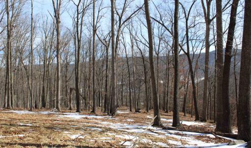 Photo #18 of TBD DOGWOOD DR, MONTEREY, VA 5.4 acres