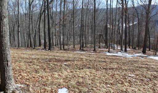 Photo #21 of TBD DOGWOOD DR, MONTEREY, VA 5.4 acres