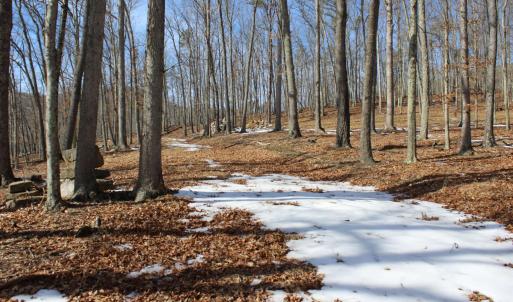 Photo #6 of TBD DOGWOOD DR, MONTEREY, VA 5.4 acres